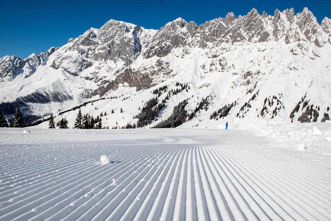 Skyberg Chalet Mühlbach am Hochkönig Dış mekan fotoğraf