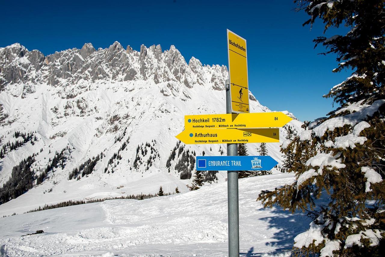Skyberg Chalet Mühlbach am Hochkönig Dış mekan fotoğraf